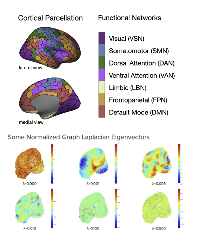 fMRI Task Decoding Paper